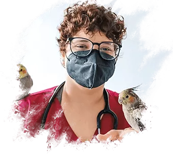 Animais pets não conevncionais clínica veterinária em fortaleza. Vtelife 24h
