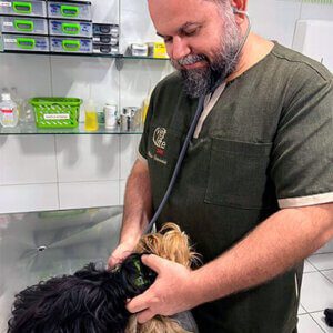 tratamento clínica veterinária em fortaleza. Vetlife 24h