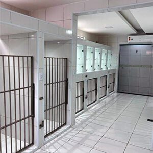 Internamento para aves clínica veterinária em fortaleza. Vetlife 24h
