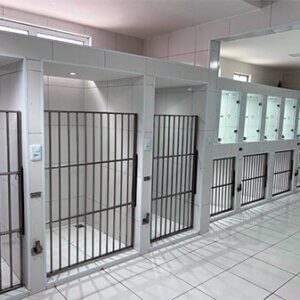 clínica veterinária em fortaleza. Vetlife 24h