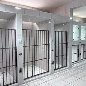 internamento exclusivo para gatos clínica veterinária em fortaleza. Vtelife 24h