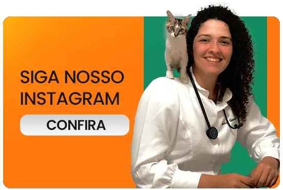 Clinica veterinária em fortaleza